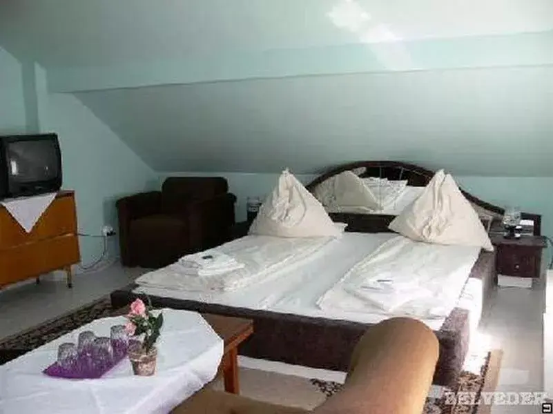 Photo 3 of Hotel Belveder